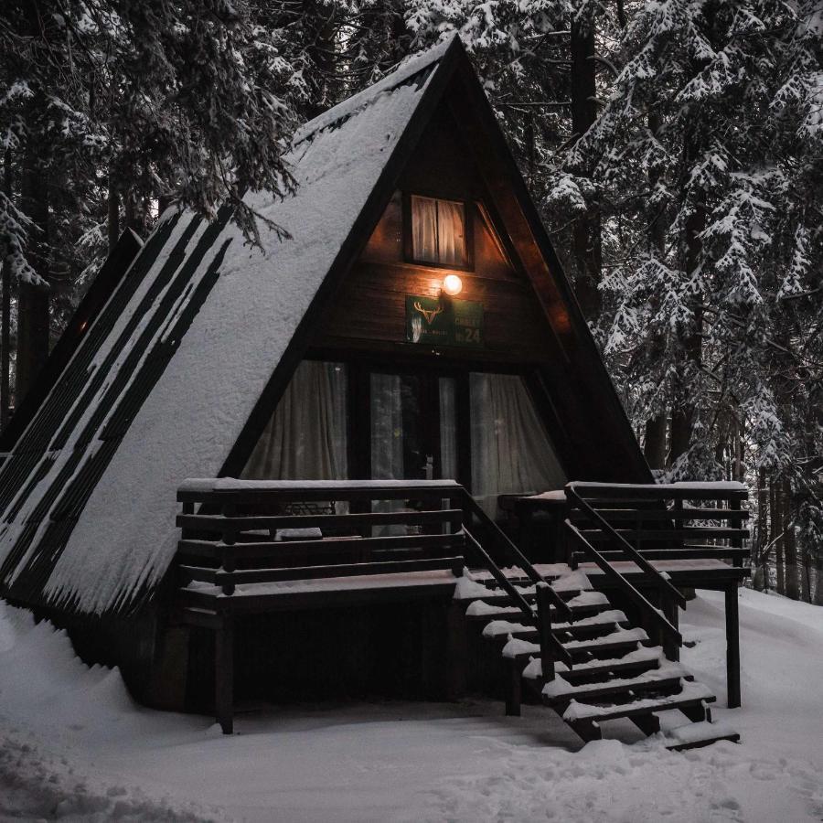 Villas Jagoda & Malina Borovets Exterior foto