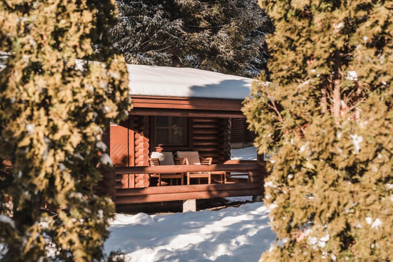 Villas Jagoda & Malina Borovets Exterior foto