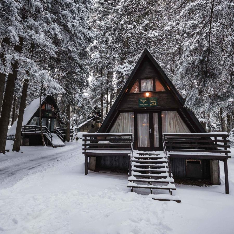 Villas Jagoda & Malina Borovets Exterior foto