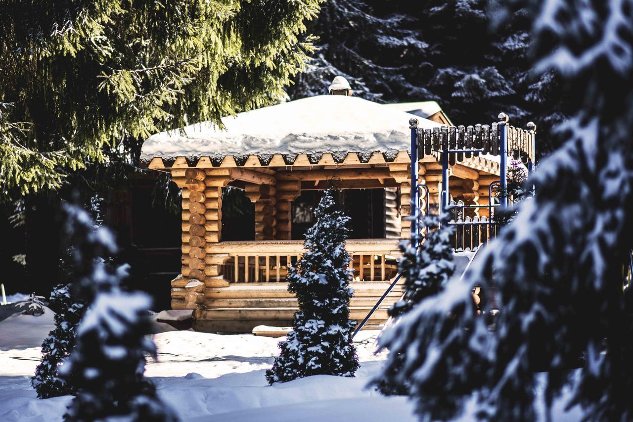 Villas Jagoda & Malina Borovets Exterior foto